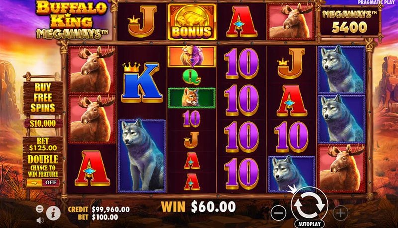 Image: Tips for Finding the Best Casinos to Play Buffalo King Megaways Image: Tips for Finding the Best Casinos to Play Buffalo King Megaways